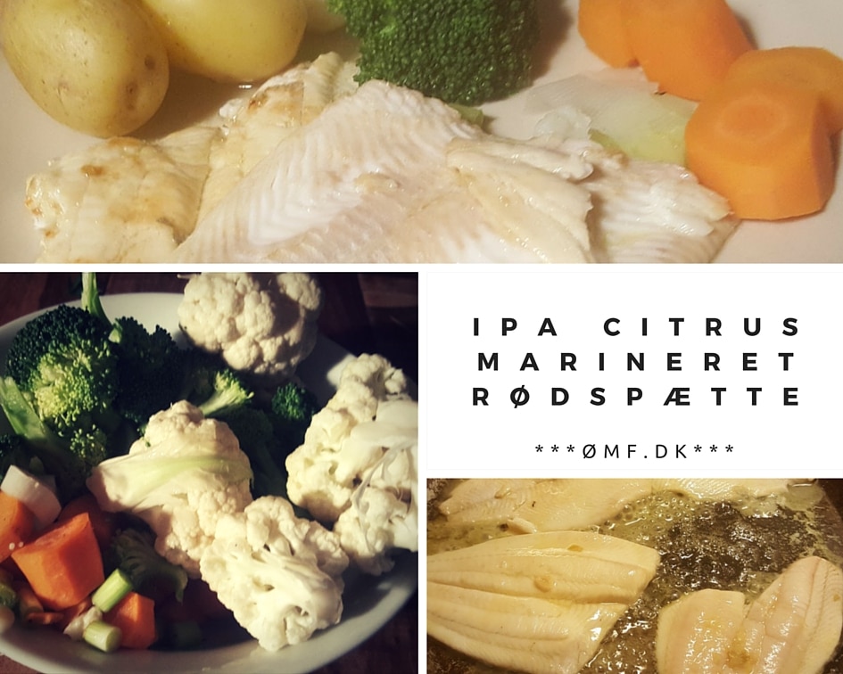 IPA Citrus Marineret Rødspættefilet