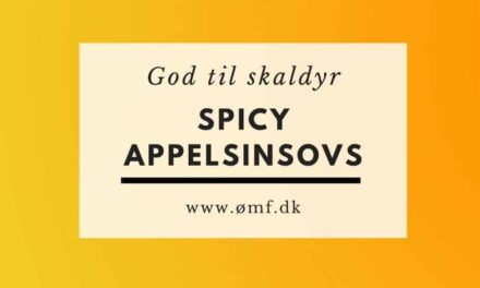Spicy Appelsinsovs
