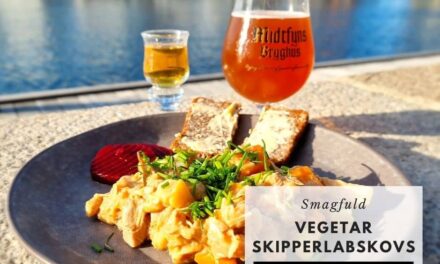 Vegetar skipperlabskovs med ale